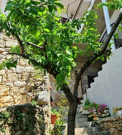 Tatil Evi Maria's Place *